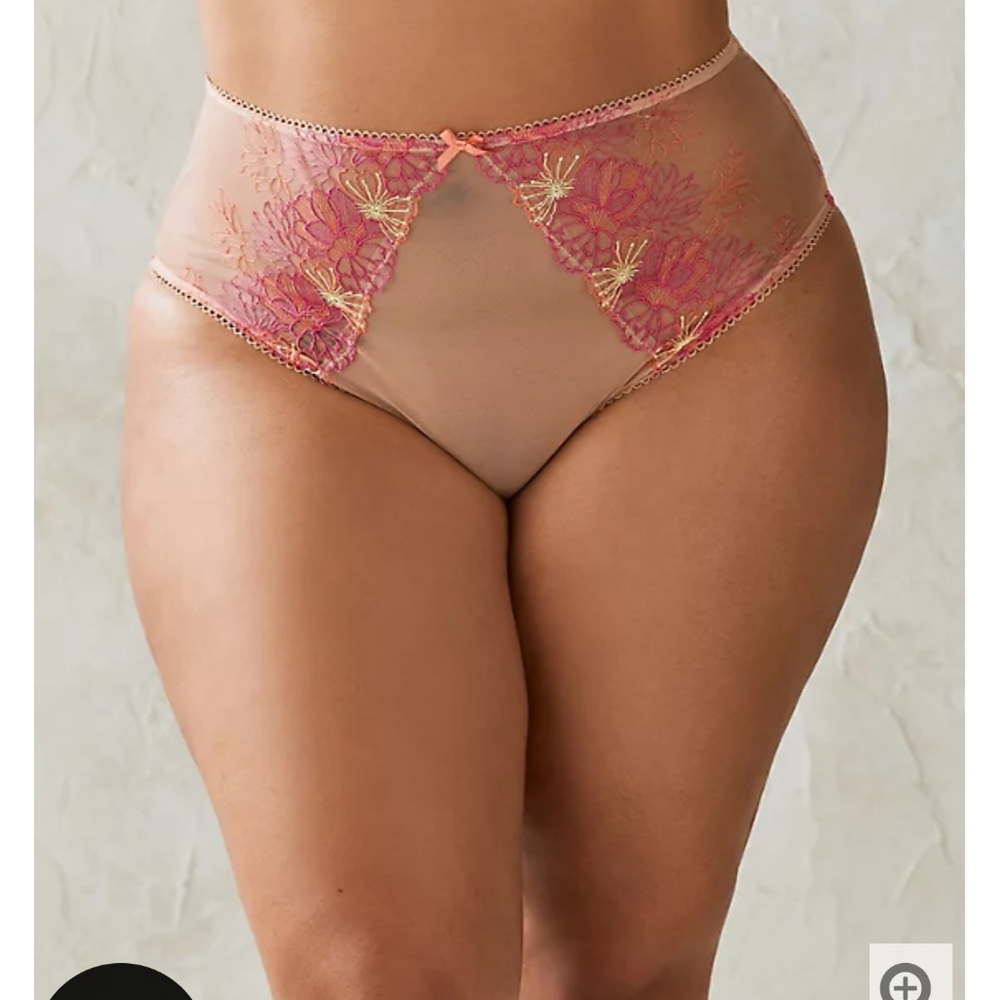 Torrid floral embroidered panty